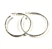 Load image into Gallery viewer, Sterling Silver Earring SE00013