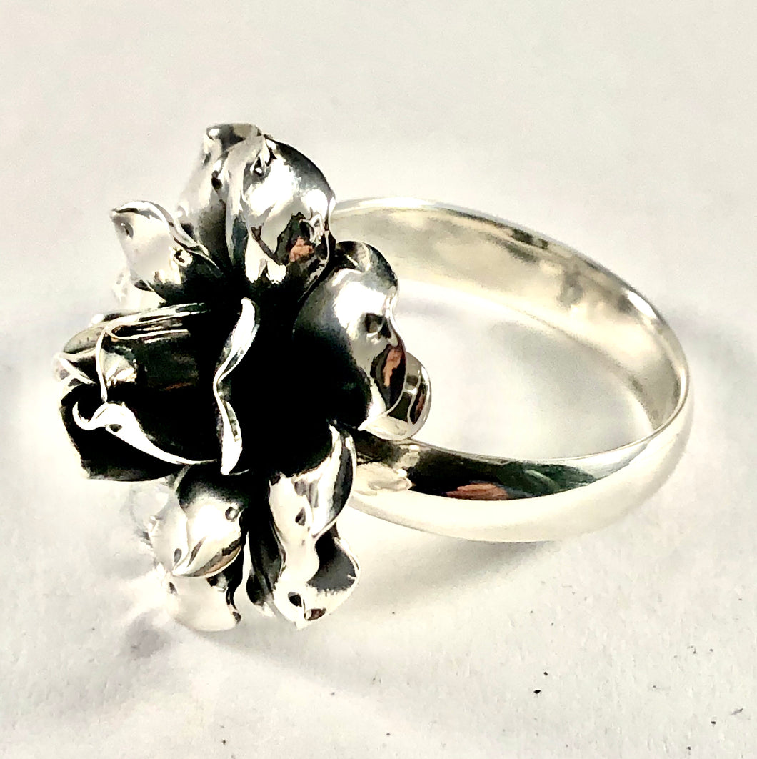 Sterling Silver Ring SR00018