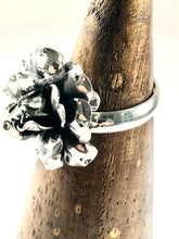Load image into Gallery viewer, Sterling Silver Ring SR00018