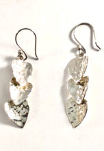 Load image into Gallery viewer, Sterling Silver Earring SE00011